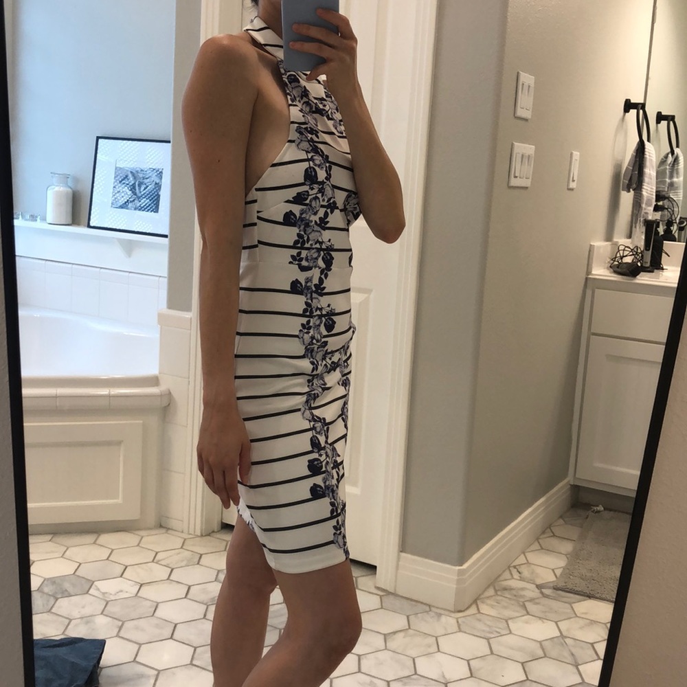 Mink pink blue white dress